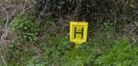 hydrant-sign-1470827855-herowidev4-0