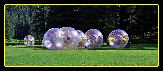 zorbing
